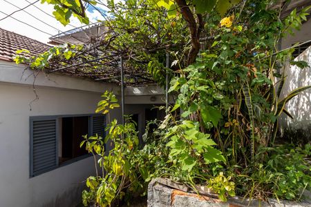 Casa à venda com 250m², 3 quartos e 5 vagas Casa à venda com 250m², 3 quartos e 5 vagasQuintal