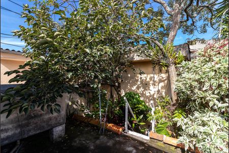 Casa à venda com 250m², 3 quartos e 5 vagas Casa à venda com 250m², 3 quartos e 5 vagasQuintal Superior