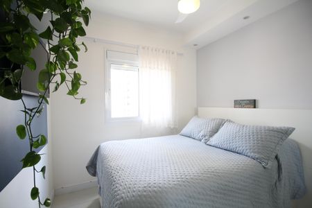 Suíte  de apartamento à venda com 2 quartos, 62m² em Vila Sonia, São Paulo