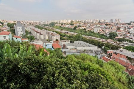 Vista de casa para alugar com 1 quarto, 33m² em Vila Pereira Barreto, São Paulo