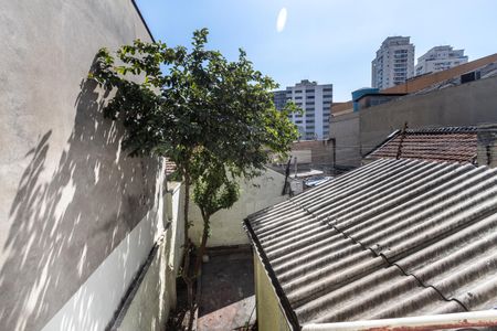 Casa para alugar com 300m², 3 quartos e sem vagaQuarto 1