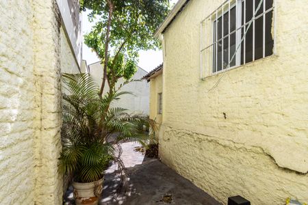 Casa para alugar com 300m², 3 quartos e sem vagaQuintal