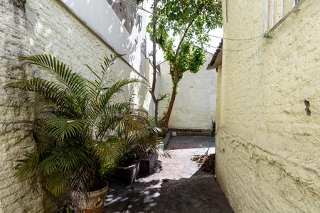 Casa para alugar com 300m², 3 quartos e sem vagaQuintal