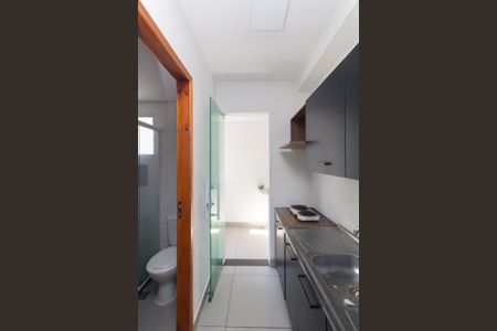 Cozinha de apartamento para alugar com 2 quartos, 32m² em Cidade Antônio Estêvão de Carvalho, São Paulo