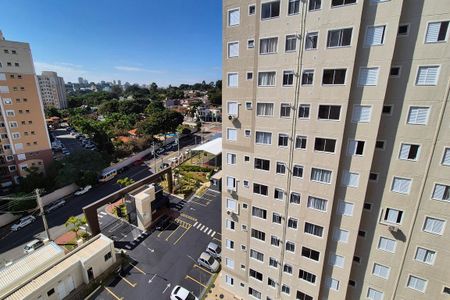 Vista da Sala  de apartamento para alugar com 2 quartos, 45m² em Vila Satúrnia, Campinas