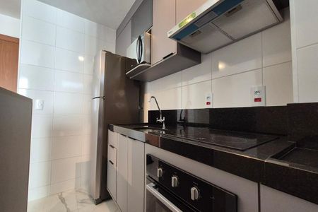 Apartamento para alugar com 45m², 2 quartos e 1 vagaCozinha 