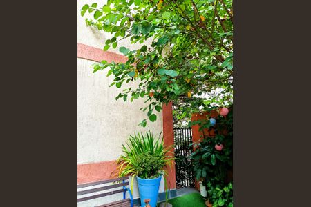 Apartamento para alugar com 48m², 1 quarto e sem vagaJardim