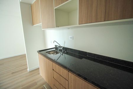 Apartamento para alugar com 51m², 2 quartos e sem vaga Apartamento para alugar com 51m², 2 quartos e sem vagaCozinha