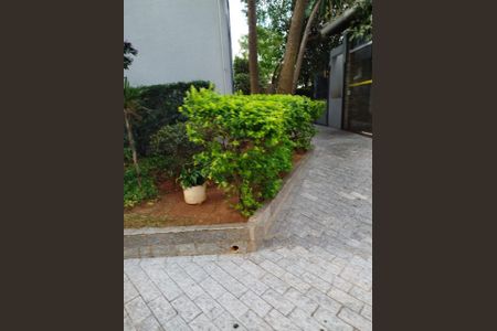 Apartamento à venda com 3 quartos, 62m² em Tatuapé, São Paulo