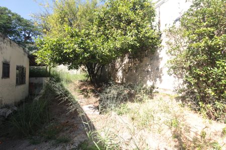 Casa para alugar com 60m², 1 quarto e sem vagaQuintal