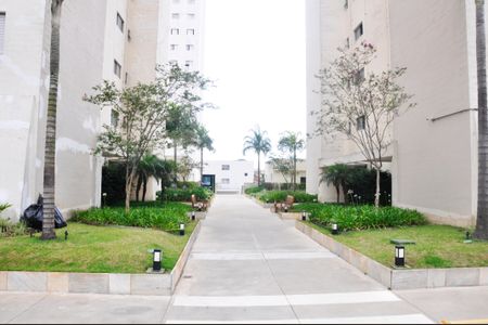 Apartamento à venda com 55m², 2 quartos e 1 vagaÁrea comum