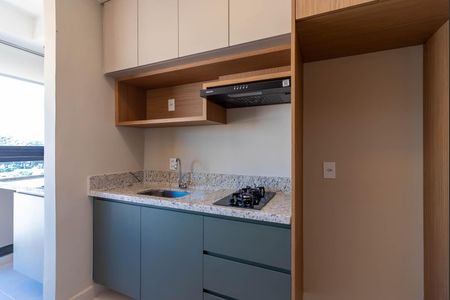 Apartamento para alugar com 26m², 1 quarto e sem vagaCozinha