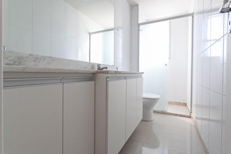 Apartamento para alugar com 57m², 2 quartos e 1 vagaBanheiro da suíte 