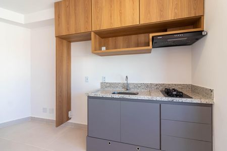 Apartamento para alugar com 25m², 1 quarto e sem vagaCozinha