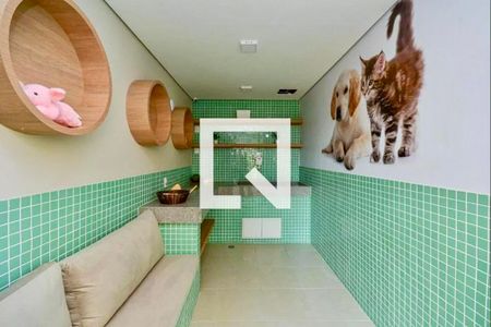 Apartamento para alugar com 35m², 2 quartos e sem vaga Apartamento para alugar com 35m², 2 quartos e sem vagaPet Care
