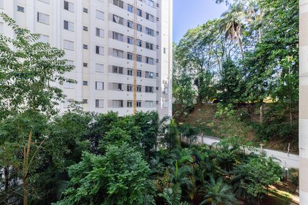 Apartamento à venda com 43m², 2 quartos e 1 vaga Apartamento à venda com 43m², 2 quartos e 1 vagaVista Quarto 1