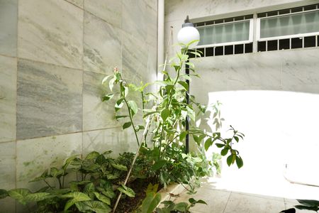Apartamento à venda com 178m², 3 quartos e 1 vagaJardim de inverno 