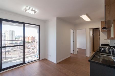 Sala - Cozinha de apartamento para alugar com 2 quartos, 37m² em Vila Sonia, São Paulo