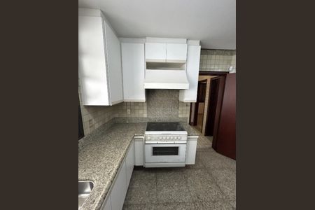 Cozinha de casa para alugar com 5 quartos, 379m² em Fundinho, Uberlândia