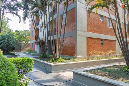 Apartamento para alugar com 65m², 2 quartos e 1 vaga Apartamento para alugar com 65m², 2 quartos e 1 vagaÁrea comum