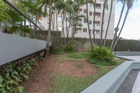 Apartamento para alugar com 65m², 2 quartos e 1 vaga Apartamento para alugar com 65m², 2 quartos e 1 vagaÁrea comum