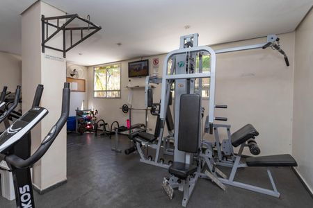Apartamento para alugar com 65m², 2 quartos e 1 vaga Apartamento para alugar com 65m², 2 quartos e 1 vagaÁrea comum - Academia