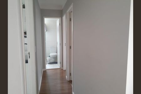 Corredor de apartamento para alugar com 2 quartos, 50m² em Jardim Myrian Moreira da Costa, Campinas