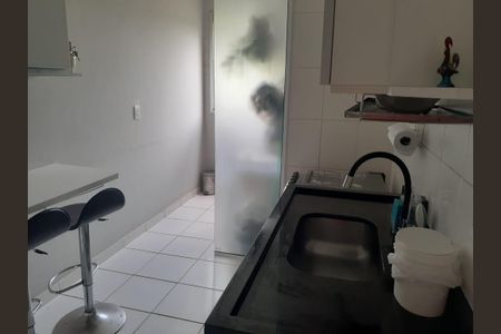 Cozinha de apartamento para alugar com 2 quartos, 50m² em Jardim Myrian Moreira da Costa, Campinas