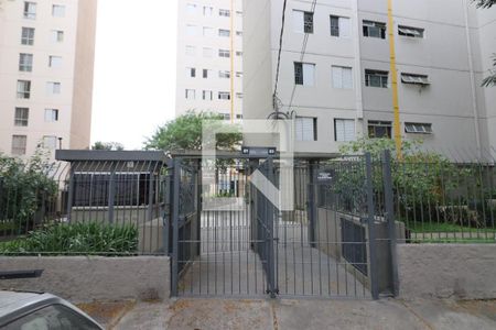 Apartamento para alugar com 70m², 3 quartos e 1 vagaFachada