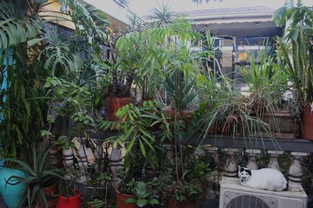 Casa à venda com 342m², 3 quartos e 2 vagasGaragem
