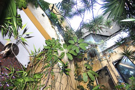 Casa à venda com 342m², 3 quartos e 2 vagasJardim