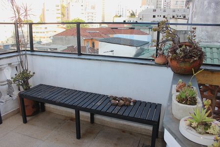 Casa à venda com 342m², 3 quartos e 2 vagasTerraço