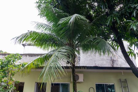 Casa para alugar com 900m², 6 quartos e 5 vagasQuintal