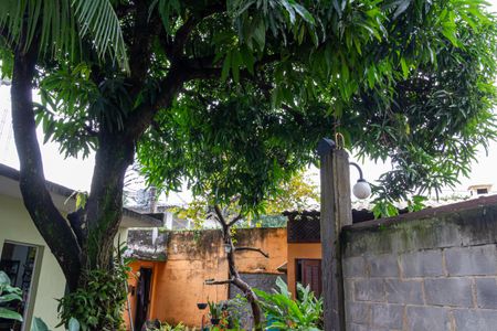 Casa para alugar com 900m², 6 quartos e 5 vagasQuintal