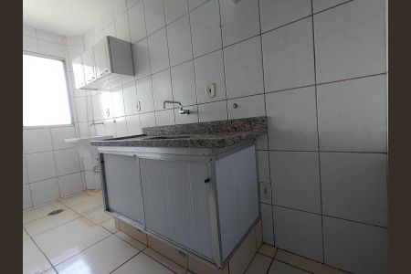 Cozinha de apartamento para alugar com 2 quartos, 48m² em Chácaras Tubalina e Quartel, Uberlândia