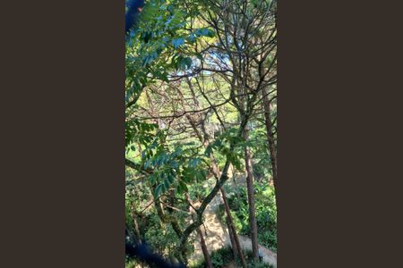 Vista da Varanda de apartamento à venda com 3 quartos, 60m² em Vila Mendes, São Paulo
