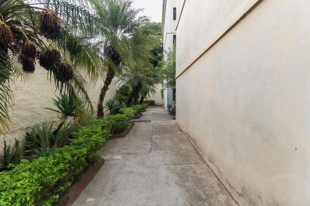 Apartamento para alugar com 59m², 2 quartos e 1 vagaÁrea Comum