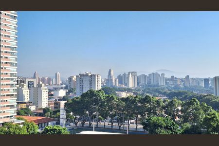 Apartamento para alugar com 28m², 1 quarto e sem vagaVista