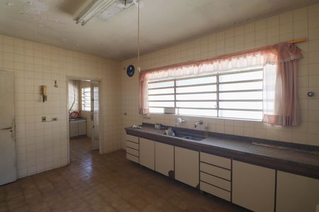 Casa para alugar com 285m², 3 quartos e 6 vagasCozinha - Armários