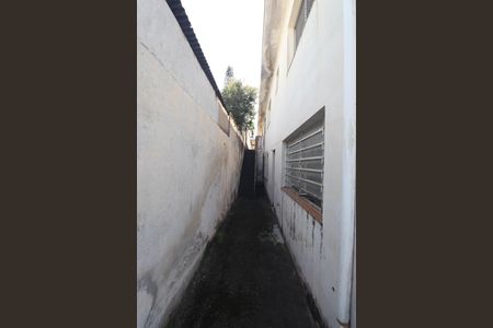 Casa para alugar com 285m², 3 quartos e 6 vagasÁrea comum