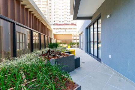 Studio para alugar com 29m², 1 quarto e sem vaga Studio para alugar com 29m², 1 quarto e sem vagaÁrea Comum