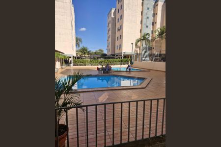 Apartamento para alugar com 74m², 3 quartos e 1 vagaPiscina