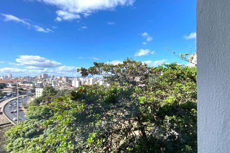 Vista do Quarto 2 de apartamento à venda com 3 quartos, 140m² em Colégio Batista, Belo Horizonte