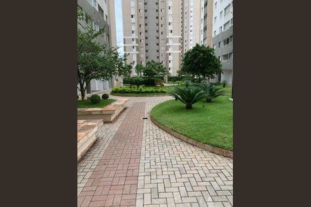Apartamento à venda com 77m², 3 quartos e 2 vagas