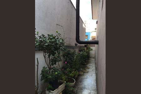 Foto 24 de casa de condomínio à venda com 5 quartos, 260m² em Cambuci, São Paulo