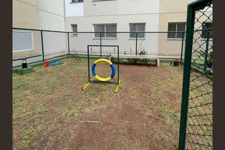 Apartamento para alugar com 35m², 2 quartos e sem vagaPetplace