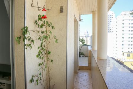Apartamento para alugar com 70m², 2 quartos e sem vagaSacada