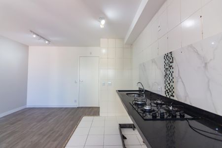 Apartamento para alugar com 44m², 2 quartos e 1 vagaCozinha 