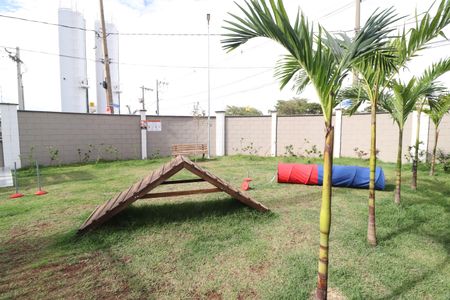 Apartamento para alugar com 58m², 2 quartos e 1 vagaEspaço Pet