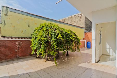 Casa para alugar com 300m², 3 quartos e 2 vagasÁrea externa